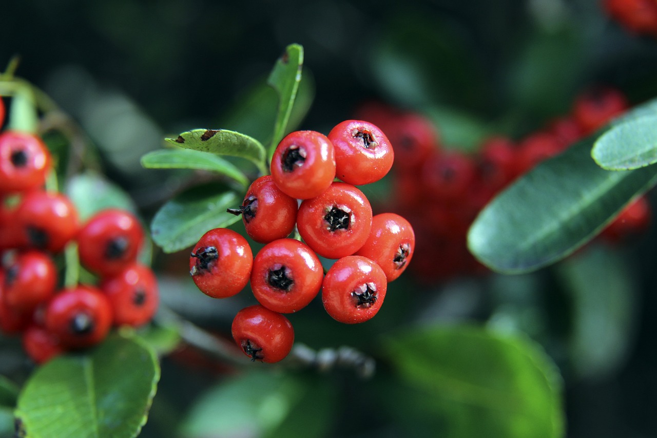 伦纳德复出后哈登投篮命中率仅38%，同时出战快船仅4胜9负