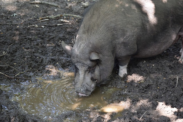 北青：2026年中超有望3月6日揭幕，世界杯期间大概率正常进行